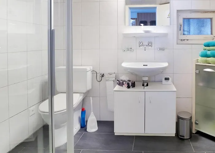 Apartment Roesli By Interhome Apartment Stechelberg